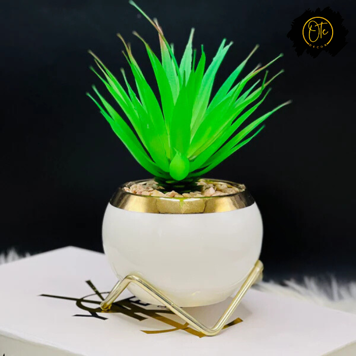 Modern Artificial Cactus in Decorative Vase – White, Black, & Green