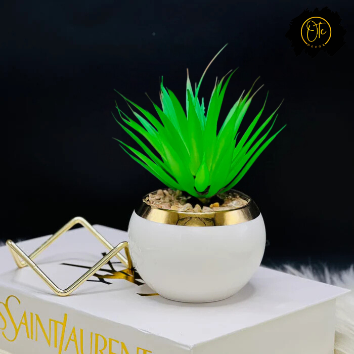 Modern Artificial Cactus in Decorative Vase – White, Black, & Green